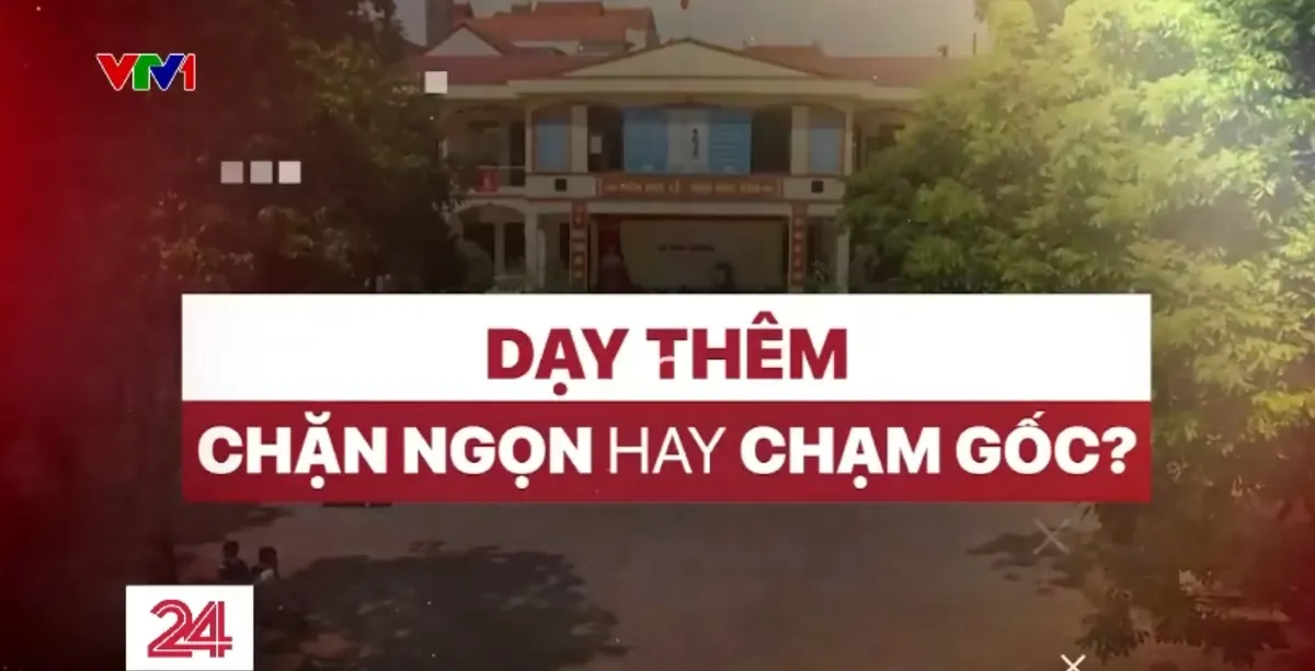 Dạy th&ecirc;m: Khi &ldquo;hệ sinh th&aacute;i&rdquo; lớn hơn cả lớp học ch&iacute;nh- Ảnh 2.