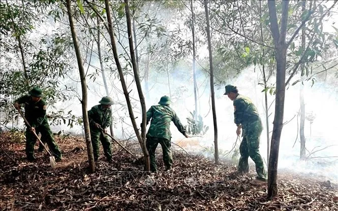 Các lực lượng chức năng khẩn trương thực hiện các biện pháp chữa cháy rừng. Ảnh: TTXVN