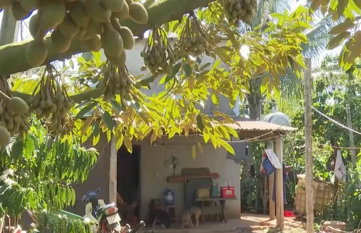  Nguy hiểm từ th&oacute;i quen nu&ocirc;i ch&oacute; canh rẫy- Ảnh 4.