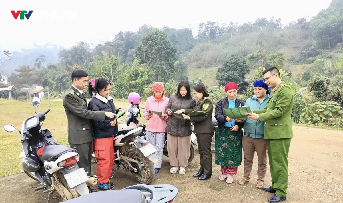 Gieo rừng, giữ đất, dựng tương lai ở Thuận Hòa - Ảnh 3.