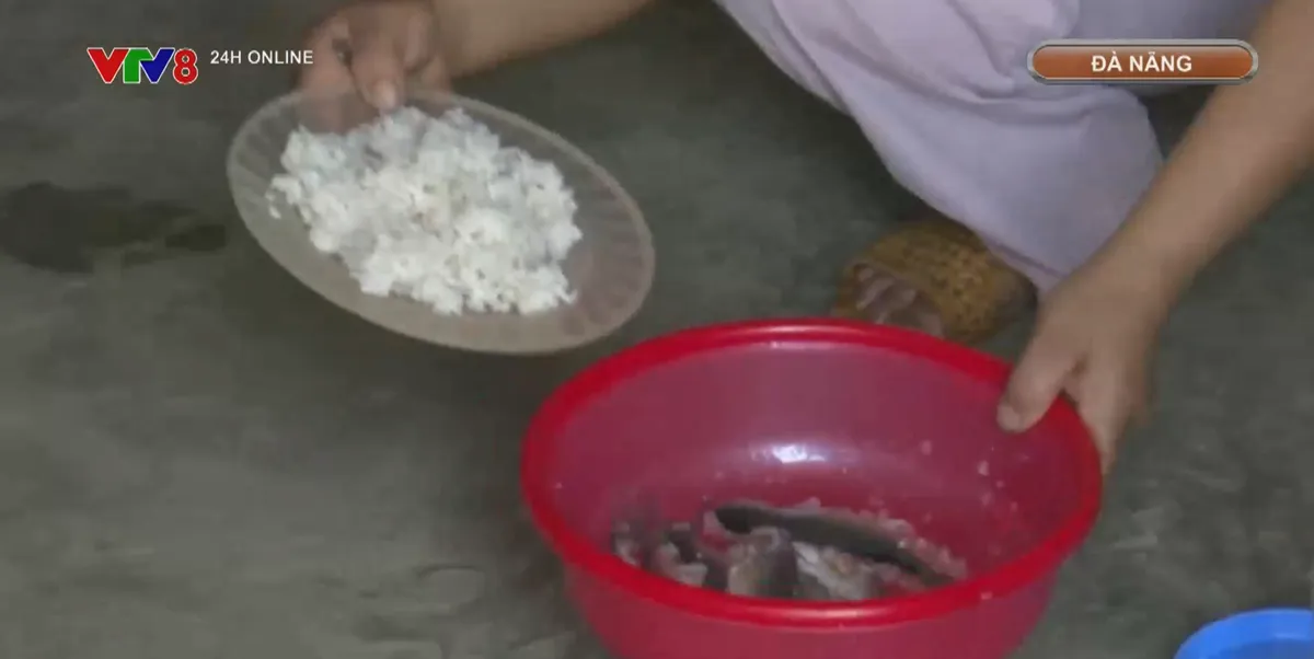 Ph&ograve;ng chống ngộ độc thực phẩm c&aacute; ủ chua- Ảnh 2.