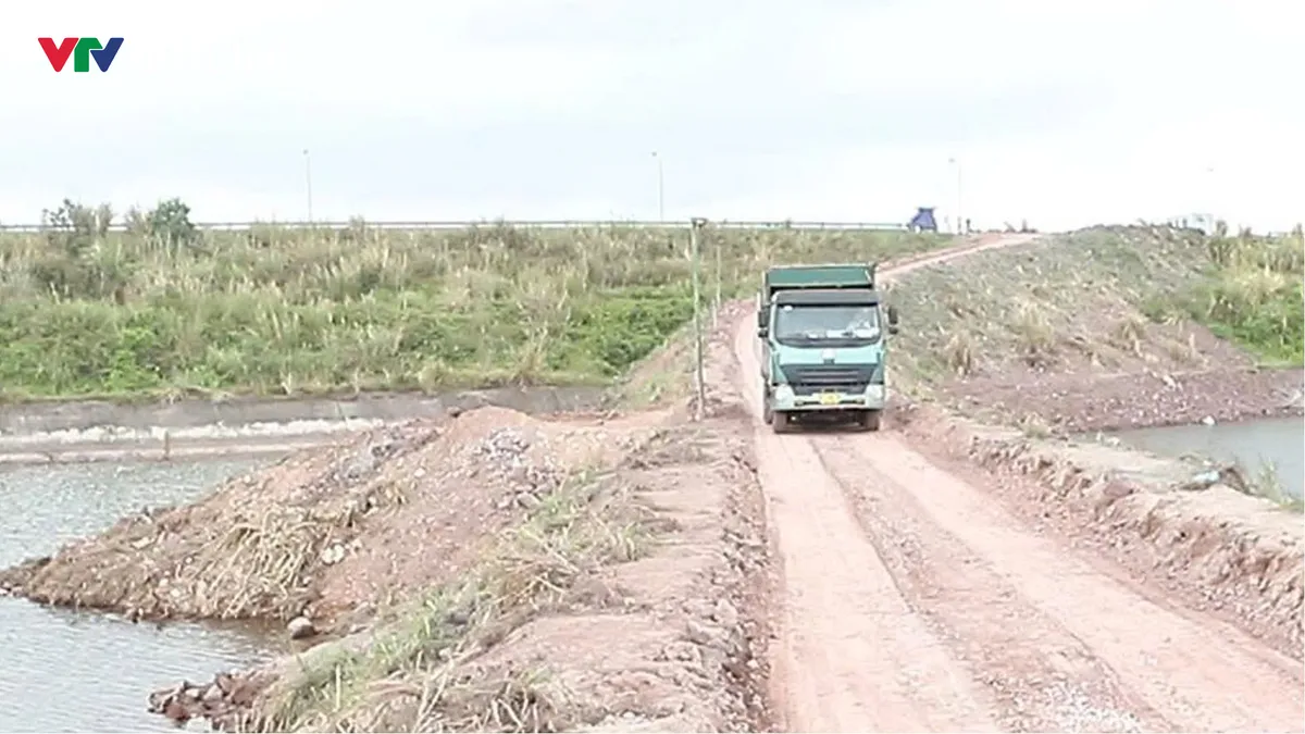 Quảng Ninh: Làm rõ phản ánh về việc sử dụng tuyến đường vận chuyển tro xỉ tại xã Hải Hòa - Ảnh 3.