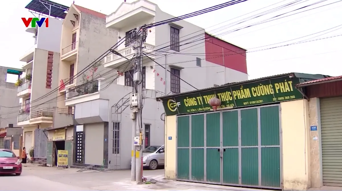 Vụ gần 300 tấn thịt lợn bệnh v&agrave;o trường học: Lỗ hổng trong gi&aacute;m s&aacute;t, kiểm dịch - Ảnh 1.