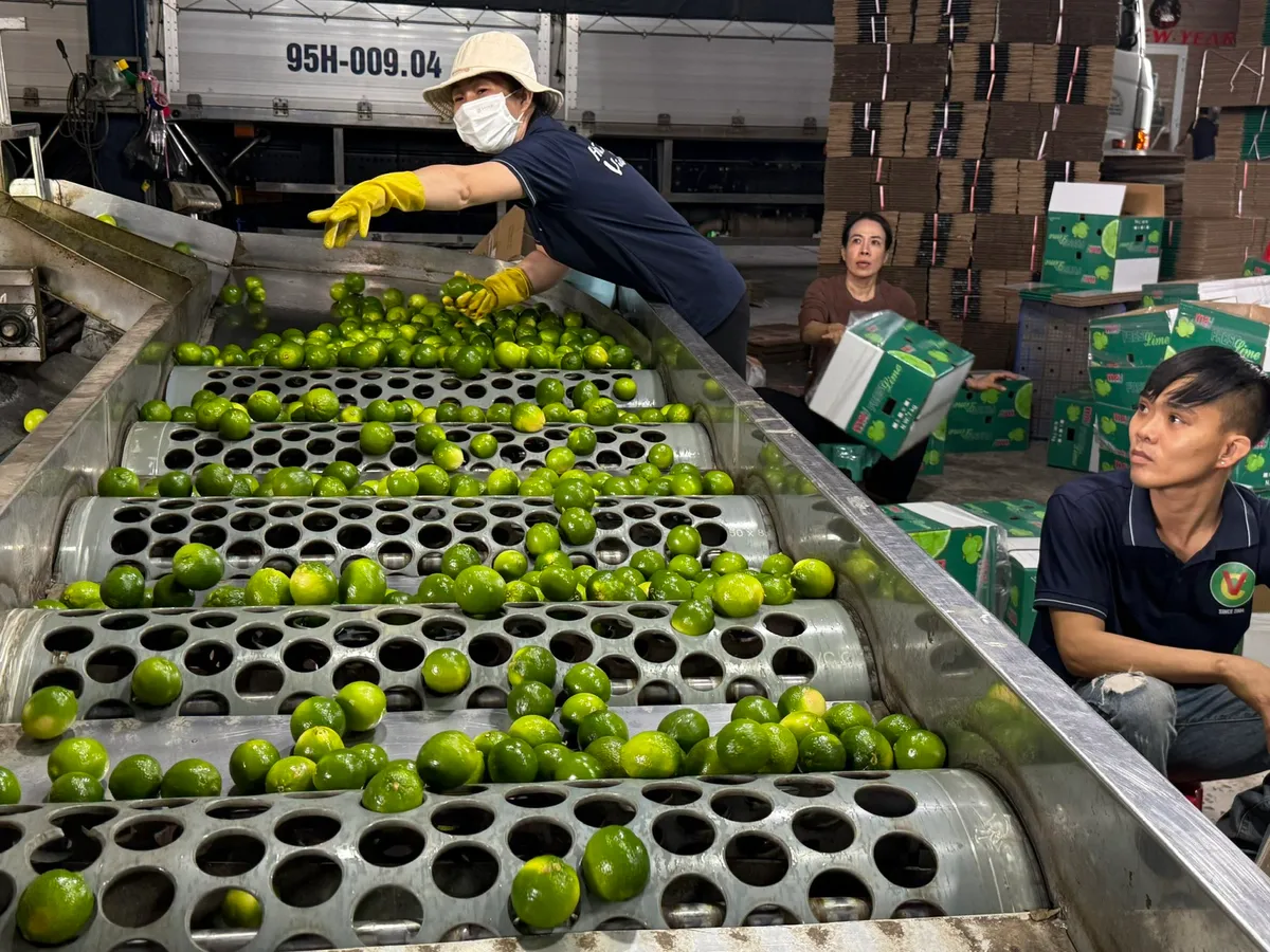 Bộ N&ocirc;ng nghiệp đề xuất gi&atilde;n nợ, mở rộng thị trường để hỗ trợ xuất khẩu n&ocirc;ng sản trước &aacute;p lực chi ph&iacute; logistics- Ảnh 1.
