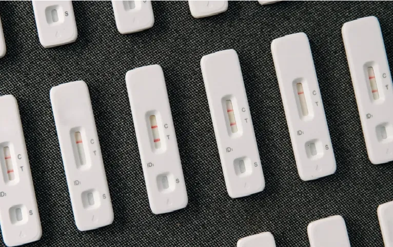 Biến thể COVID-19 Cicada l&acirc;y lan tại h&agrave;ng chục bang của Mỹ- Ảnh 1.