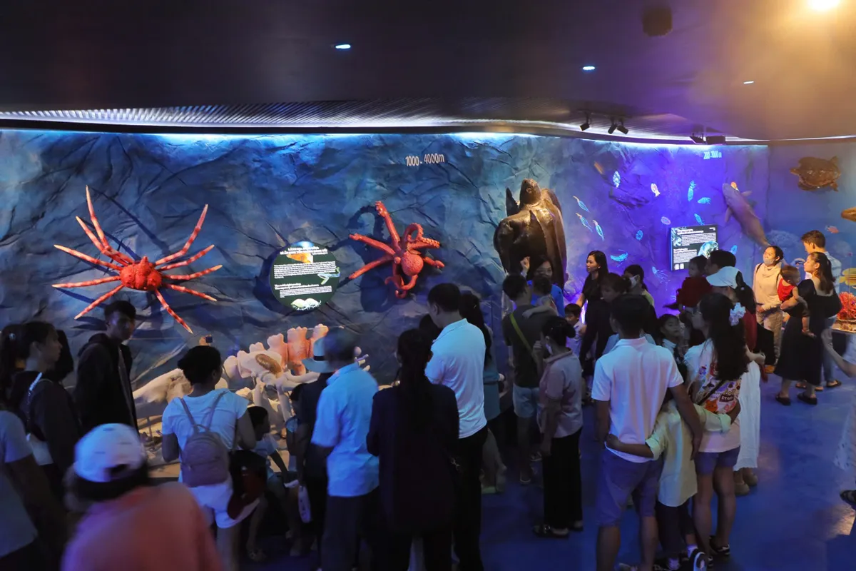 Nha Trang g&oacute;p mặt top 5 điểm đến l&yacute; tưởng cho kỳ nghỉ gia đ&igrave;nh tại Việt Nam- Ảnh 3.