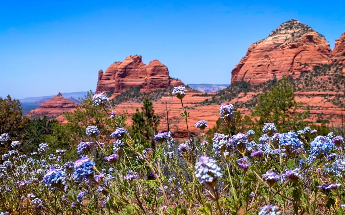 Ảnh: Road Trip Queen