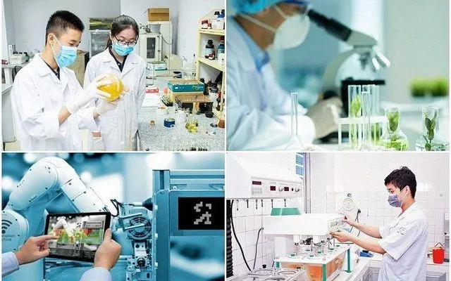 Đến năm 2035, thu hút ít nhất 30 chuyên gia xuất sắc dẫn dắt đột phá giáo dục, nghiên cứu (Ảnh minh họa)