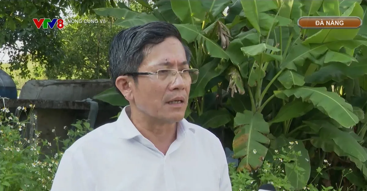 L&atilde;ng ph&iacute; h&agrave;ng trăm tỷ đồng tại c&aacute;c dự &aacute;n r&aacute;c thải Đ&agrave; Nẵng- Ảnh 3.