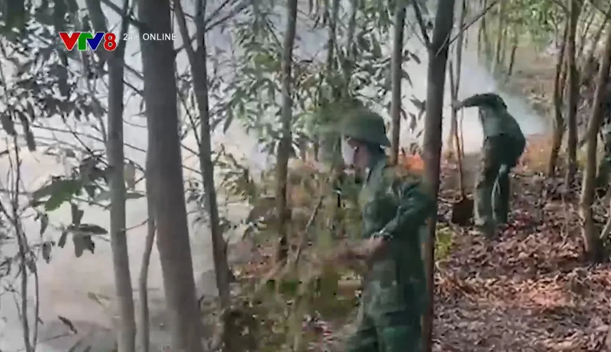 Quảng Trị kịp thời dập tắt đ&aacute;m ch&aacute;y rừng ph&ograve;ng hộ ven biển- Ảnh 1.