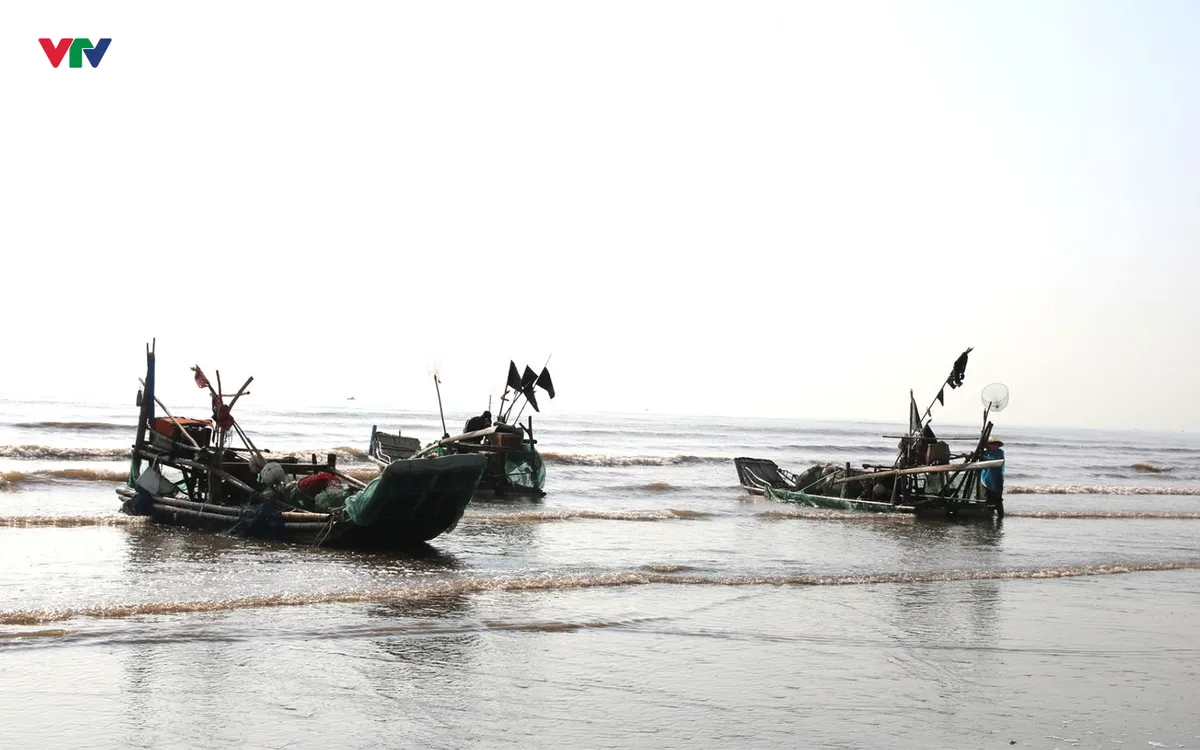 Bè mảng và thuyền công suất nhỏ của ngư dân tất bật rẽ sóng ra khơi đánh bắt sứa biển. Ảnh Ngọc Quân.