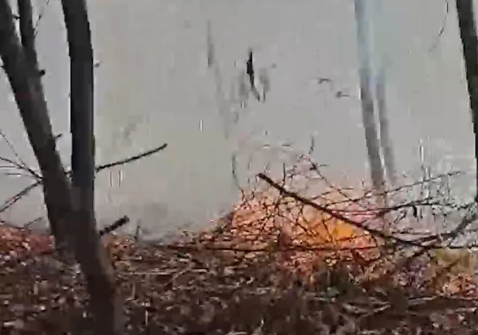 Quảng Trị kịp thời dập tắt đ&aacute;m ch&aacute;y rừng ph&ograve;ng hộ ven biển- Ảnh 2.