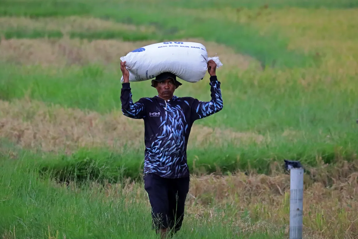 Gi&aacute; lương thực thế giới tăng do xung đột Trung Đ&ocirc;ng- Ảnh 1.