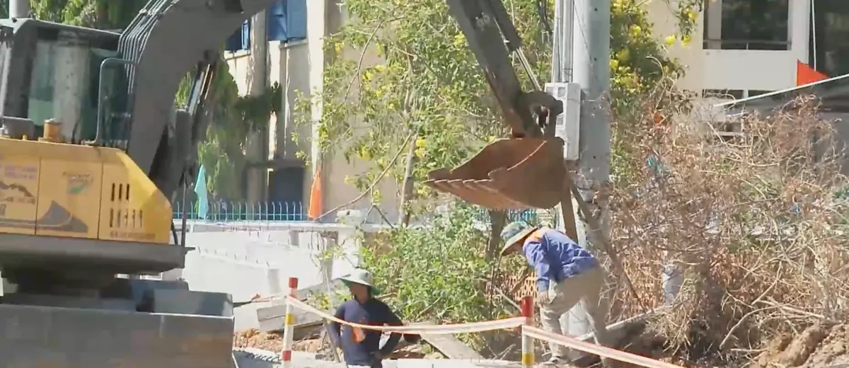 Tăng cường quản l&yacute; phương tiện vận tải m&ugrave;a cao điểm- Ảnh 3.