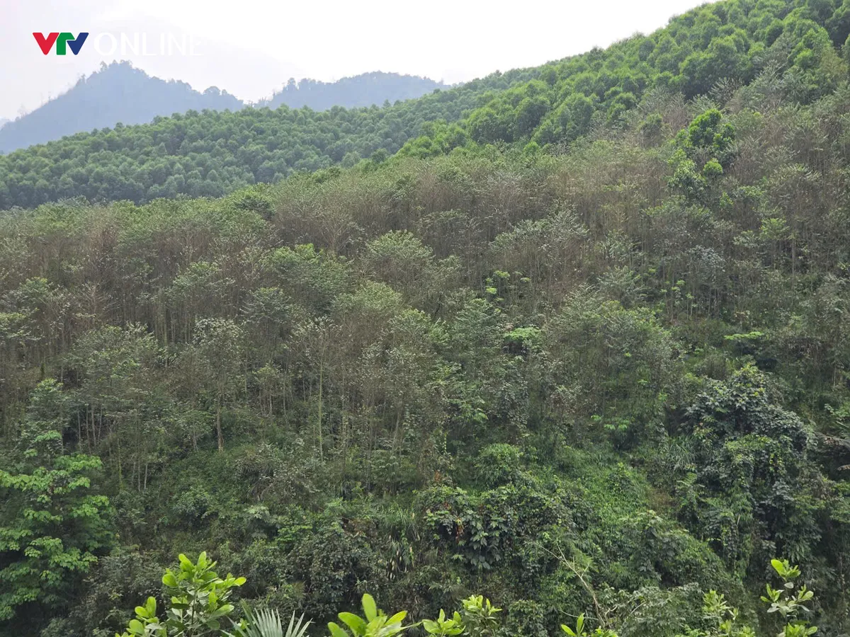 Chính quyền 2 cấp ở vùng cao: Tăng quyền cho cơ sở, thử thách năng lực - Ảnh 5.