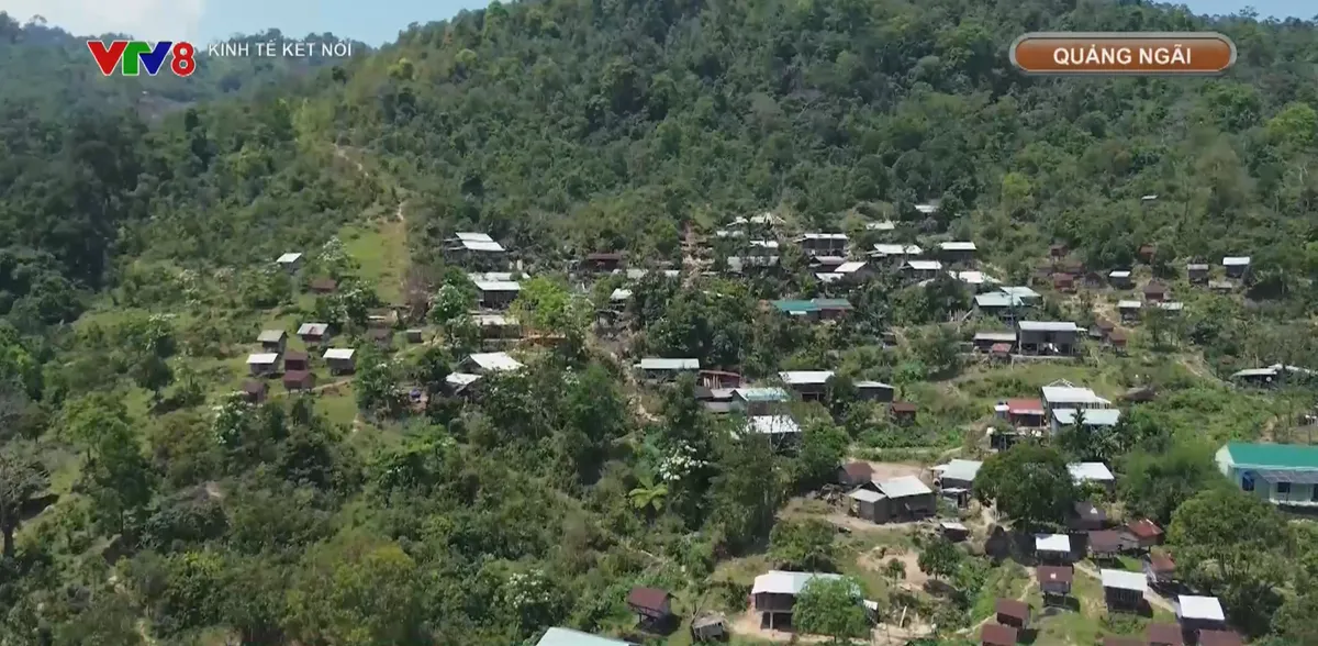 Bừng sáng giữa đại ngàn Măng Bút- Ảnh 1. Bừng sáng giữa đại ngàn Măng Bút- Ảnh 1.