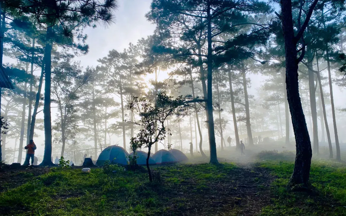 Du lịch h&egrave; 2026: Cuộc đua khởi động từ th&aacute;ng 4- Ảnh 2.