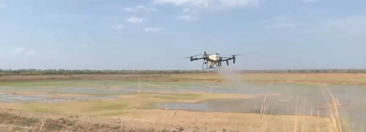  Trồng l&uacute;a giảm thải tr&ecirc;n c&aacute;nh đồng mẫu lớn- Ảnh 3.