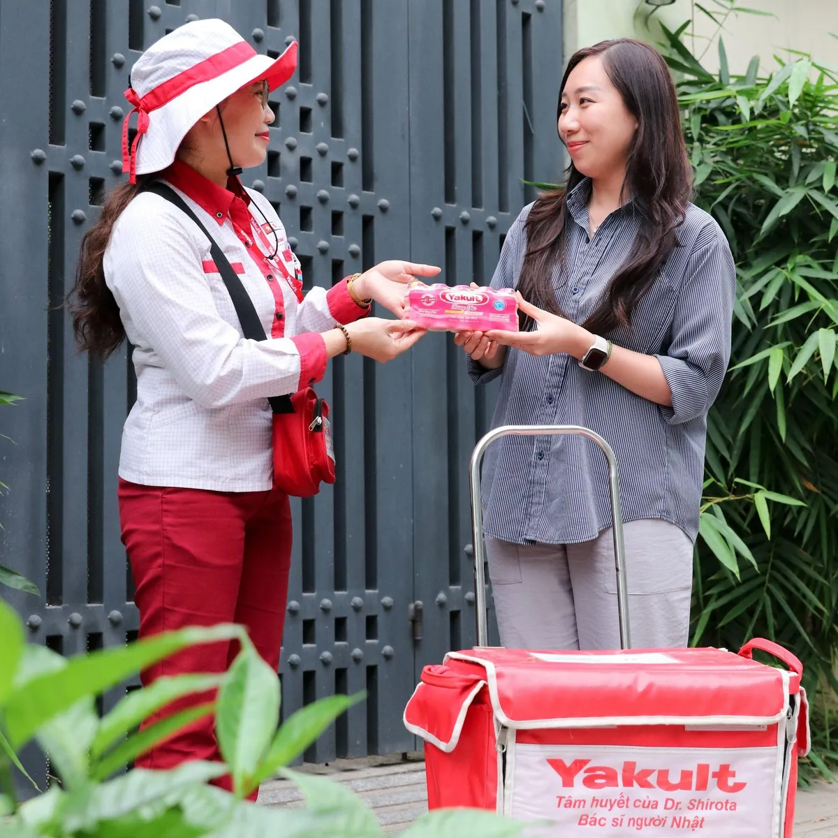 Yakult Hương Đào – Thêm lựa chọn cho thói quen chăm sóc sức khỏe - Ảnh 3.
