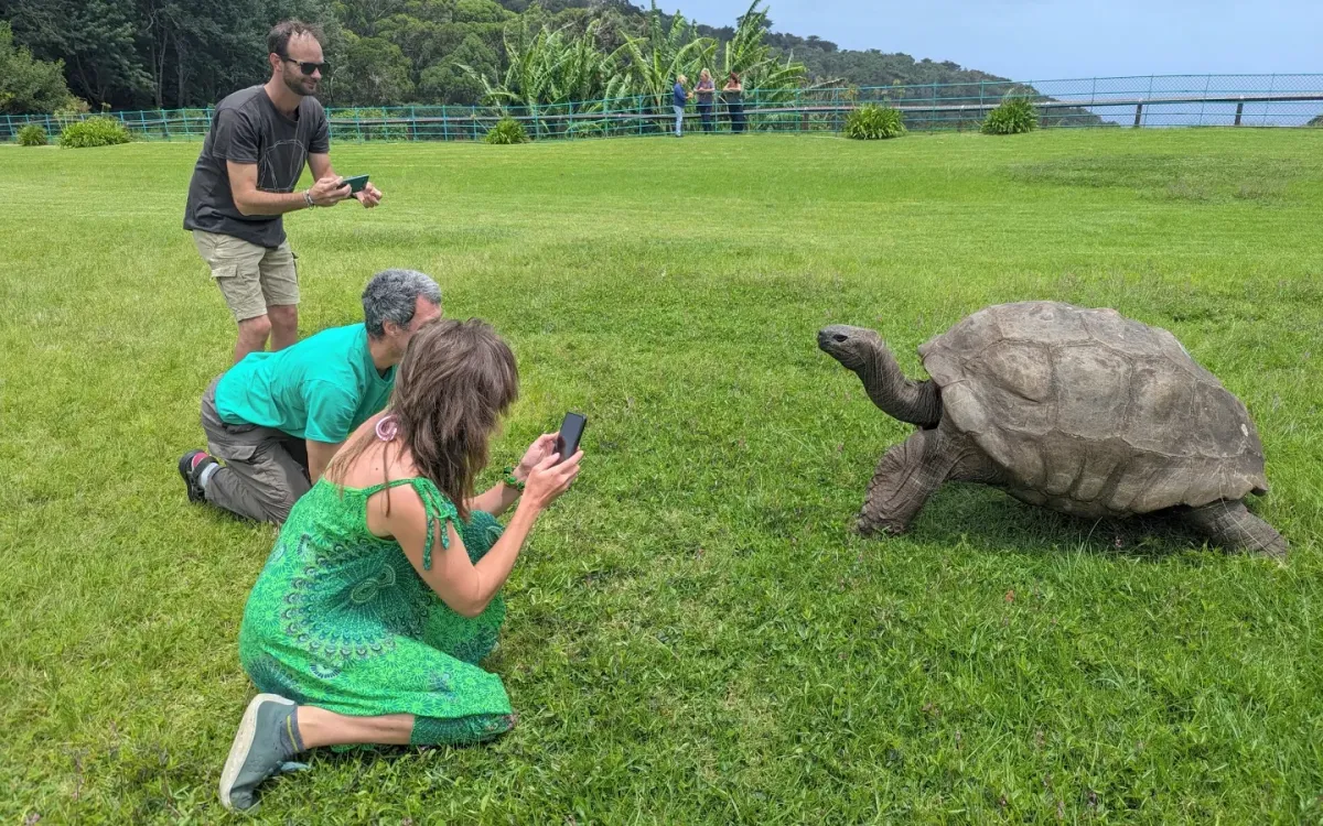 Du khách chụp ảnh rùa Jonathan tại đảo St. Helena, ngày 22/2/2024. (Ảnh: AP)