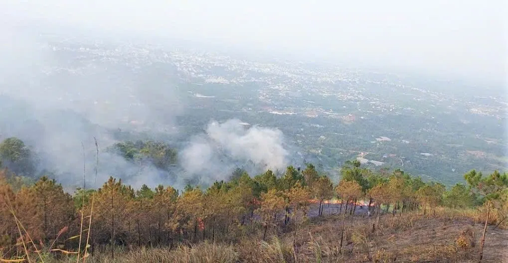 Kịp thời khống chế vụ ch&aacute;y rừng th&ocirc;ng ở L&acirc;m Đồng - Ảnh 1.