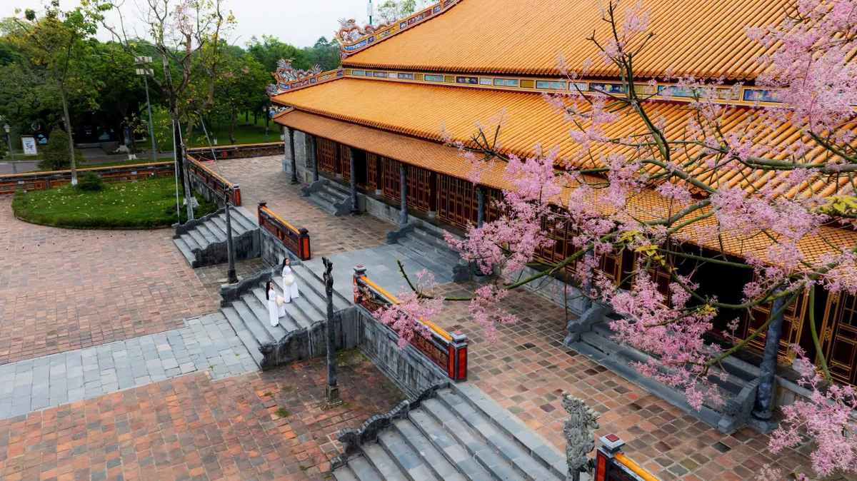 &ldquo;Vương giả chi hoa&rdquo; lặng nở giữa trời cố đ&ocirc; Huế- Ảnh 4.