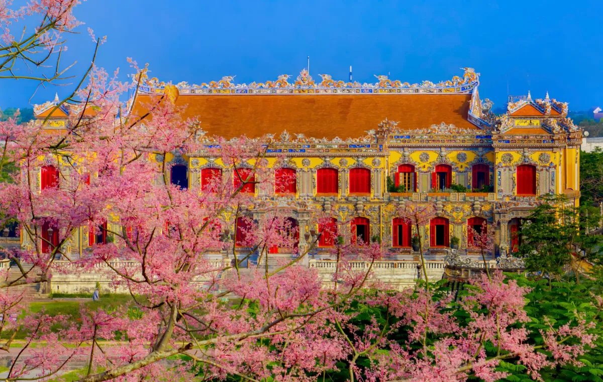 &ldquo;Vương giả chi hoa&rdquo; lặng nở giữa trời cố đ&ocirc; Huế- Ảnh 1.
