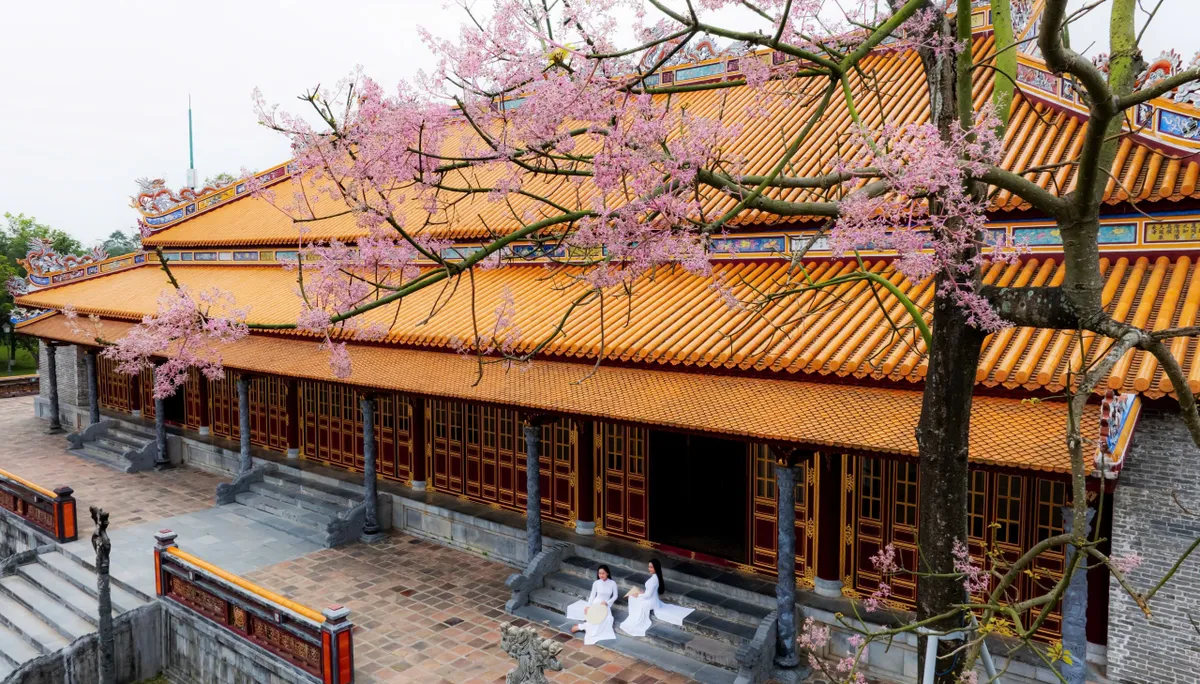 &ldquo;Vương giả chi hoa&rdquo; lặng nở giữa trời cố đ&ocirc; Huế- Ảnh 8.
