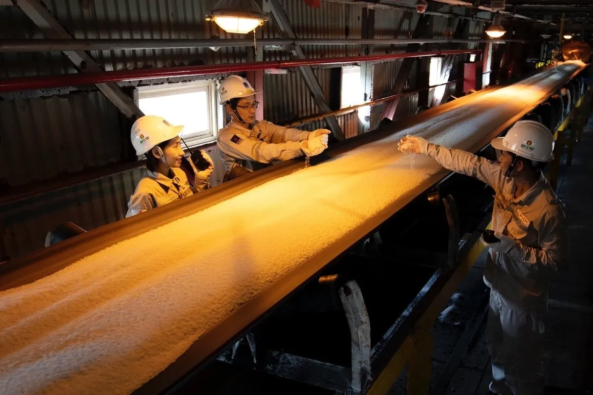 Ho&agrave;n thiện cơ chế quản l&yacute; để hỗ trợ doanh nghiệp ph&aacute;t triển l&agrave;nh mạnh- Ảnh 2.