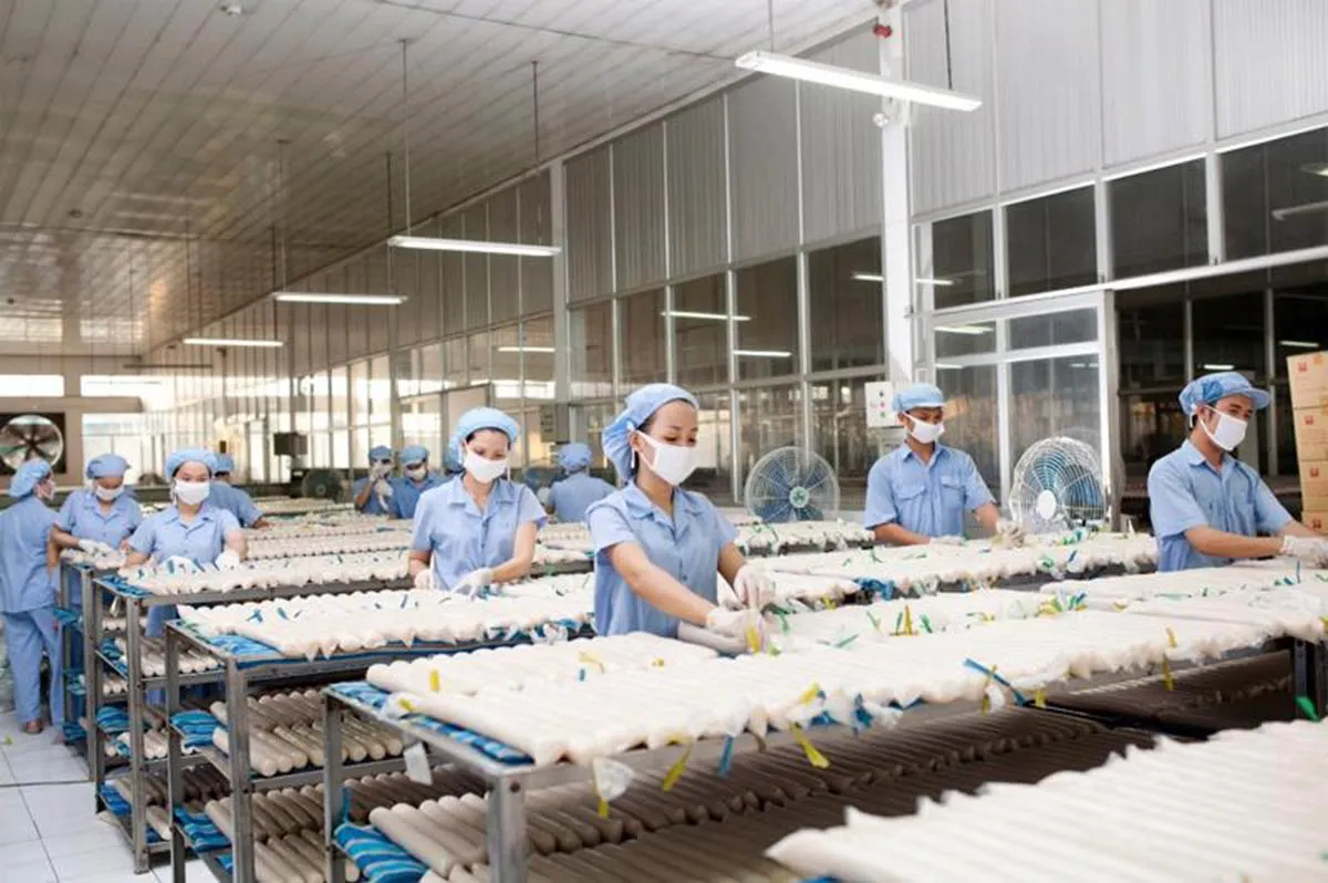 Ho&agrave;n thiện cơ chế quản l&yacute; để hỗ trợ doanh nghiệp ph&aacute;t triển l&agrave;nh mạnh- Ảnh 1.