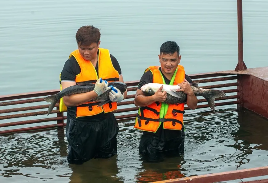 Ph&aacute;t huy dư địa lớn nu&ocirc;i trồng thủy sản hồ chứa c&aacute;c tỉnh ph&iacute;a Bắc- Ảnh 3.