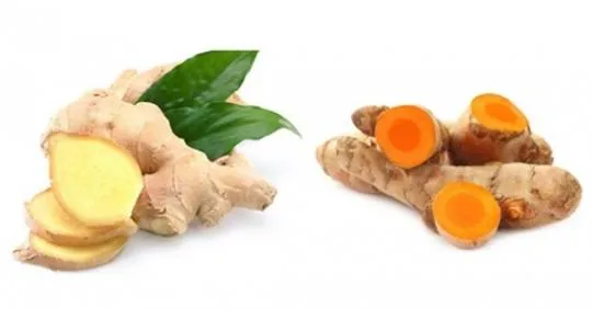 Gừng hay nghệ: Đâu là "trợ thủ" chống viêm hiệu quả hơn?- Ảnh 1. Gừng hay nghệ: Đâu là "trợ thủ" chống viêm hiệu quả hơn?- Ảnh 1.