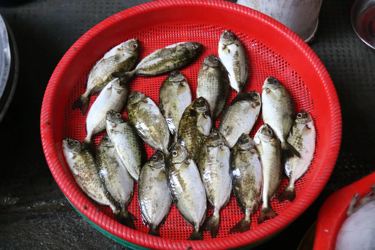 Về l&agrave;ng Chuồn ăn b&aacute;nh kho&aacute;i c&aacute; k&igrave;nh- Ảnh 1.