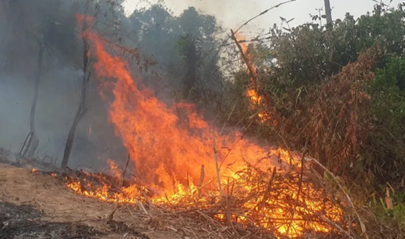 Điện Bi&ecirc;n: 4 người bị thương khi chữa ch&aacute;y rừng tại x&atilde; Na Sang  - Ảnh 2.