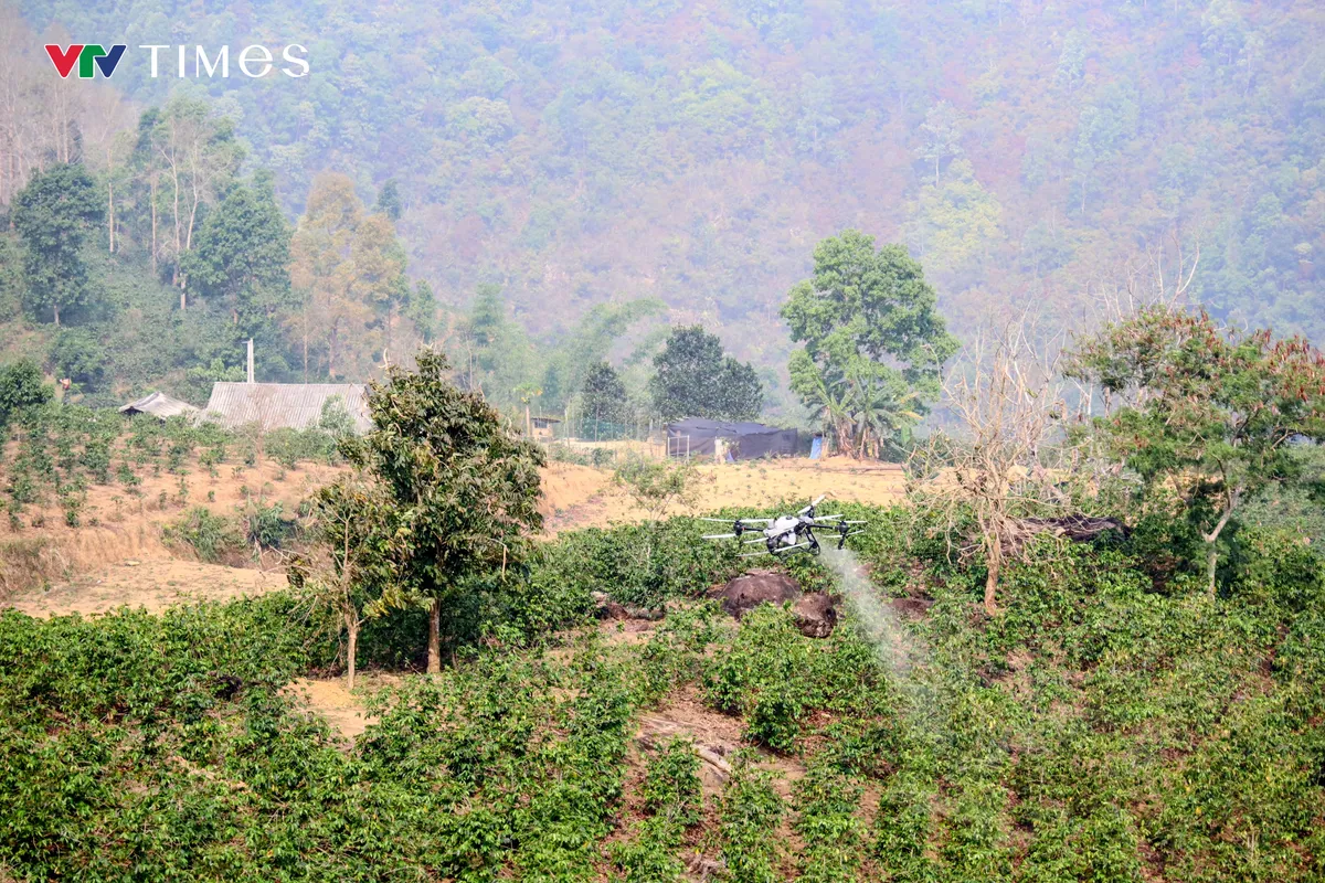 Điện Bi&ecirc;n thử nghiệm m&ocirc; h&igrave;nh ph&aacute;t triển kinh tế kh&ocirc;ng gian tầm thấp- Ảnh 6.