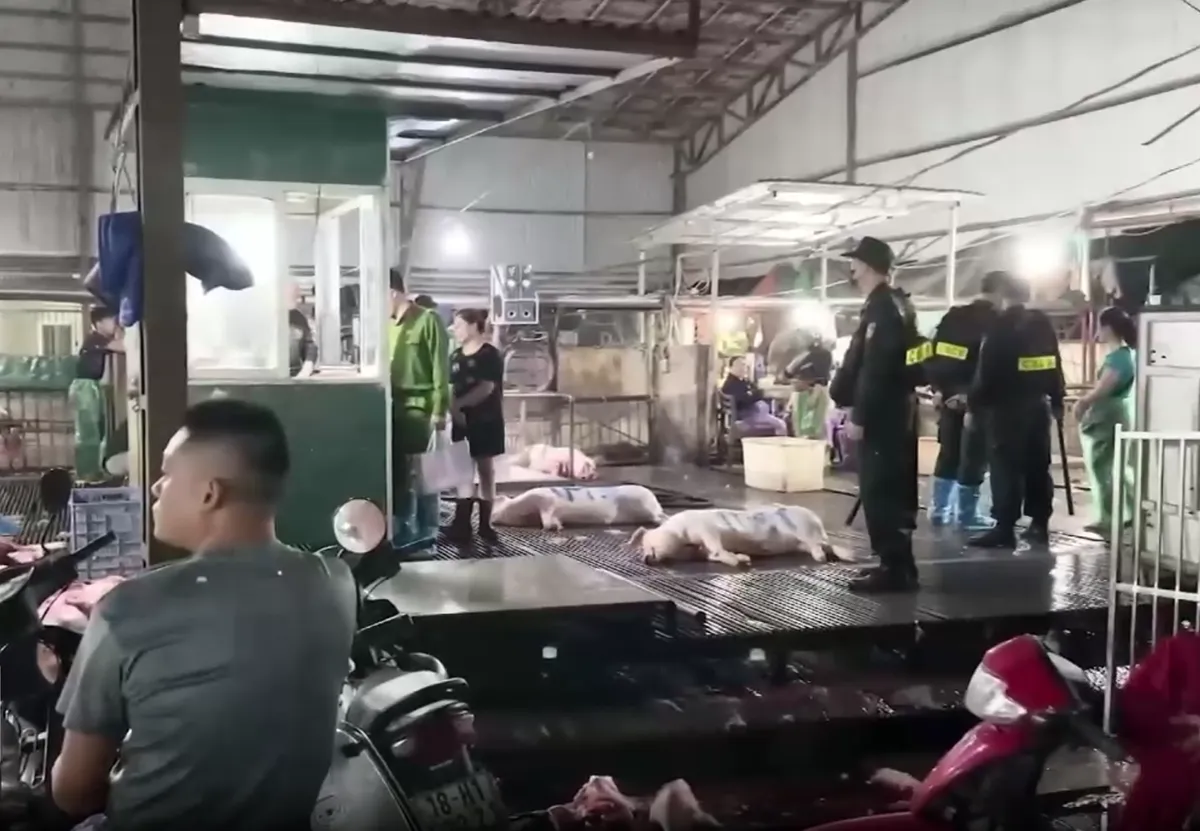 Lỗ hổng kiểm soát và những mắt xích tiếp tay trong lò mổ Vạn Phúc - Ảnh 4.