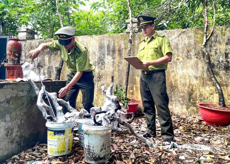 Cơn sốt săn l&ugrave;ng &ldquo;muội hồng&rdquo;: Th&uacute; chơi tiềm ẩn hệ lụy ph&aacute;p l&yacute; - Ảnh 2.