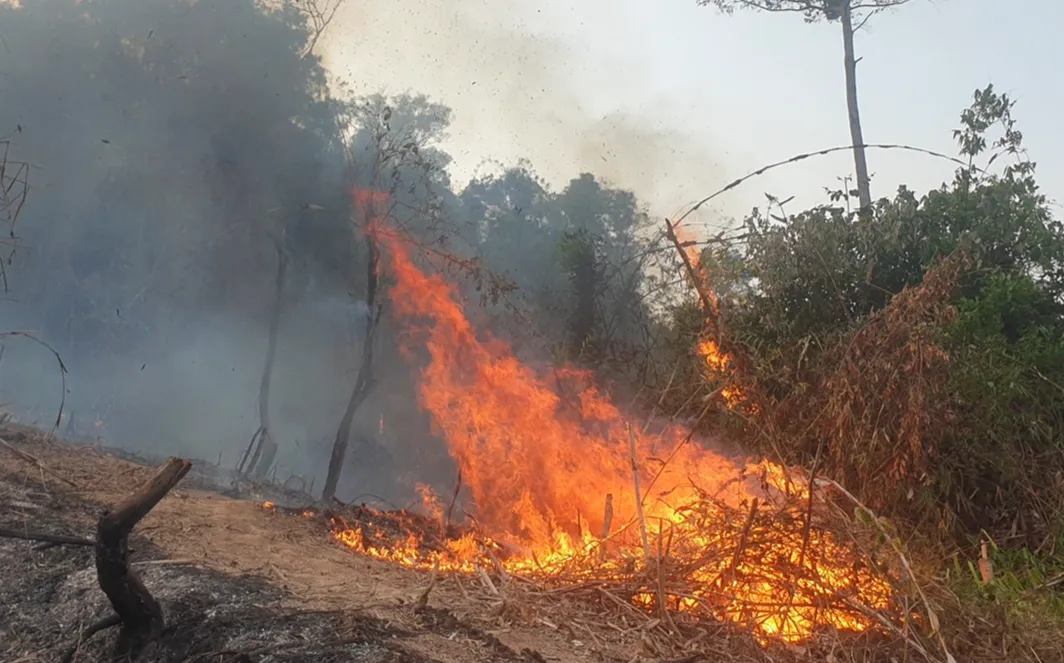 Điện Bi&ecirc;n: Dừng ngay việc đốt nương trong điều kiện thời tiết hanh kh&ocirc; - Ảnh 4.