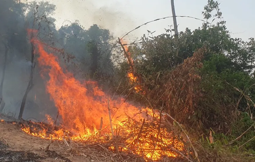 Điện Biên: Một người tử vong, 2 người nguy kịch do cháy rừng - Ảnh 2.