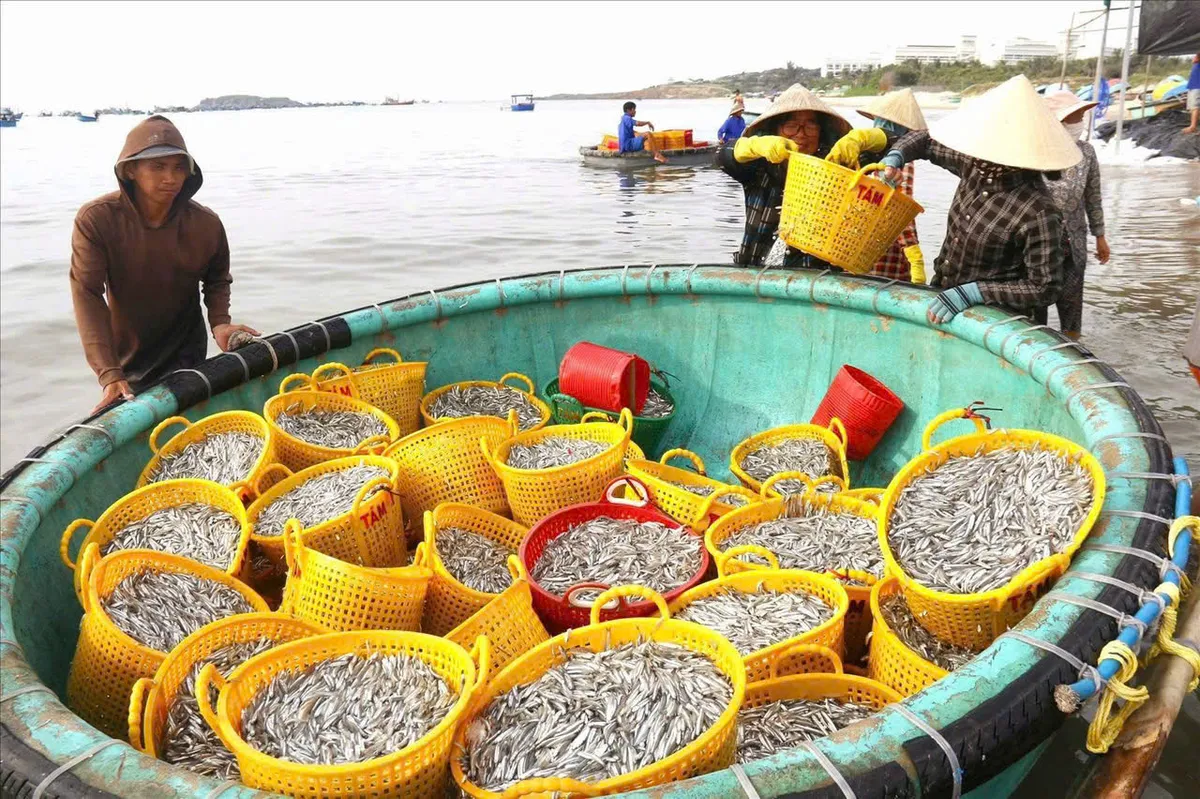 Đề xuất c&ocirc;ng nhận nghề nước mắm Phan Thiết l&agrave; di sản quốc gia- Ảnh 4.