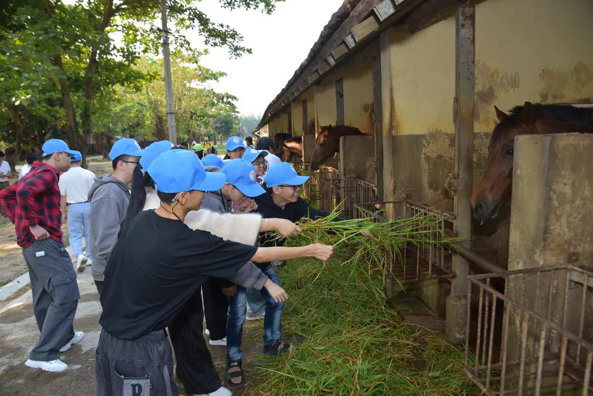 Kh&aacute;nh H&ograve;a: Học sinh khuyết tật trải nghiệm h&agrave;nh tr&igrave;nh "Theo dấu ch&acirc;n b&aacute;c sĩ Yersin" - Ảnh 3.