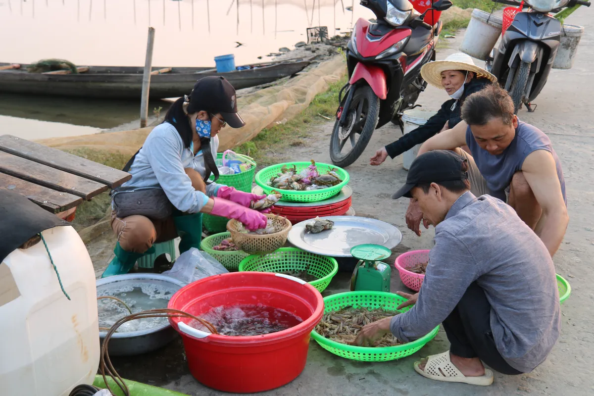 B&igrave;nh minh tr&ecirc;n ph&aacute; Tam Giang: Nhịp sống thức dậy từ l&agrave;n sương sớm - Ảnh 4.