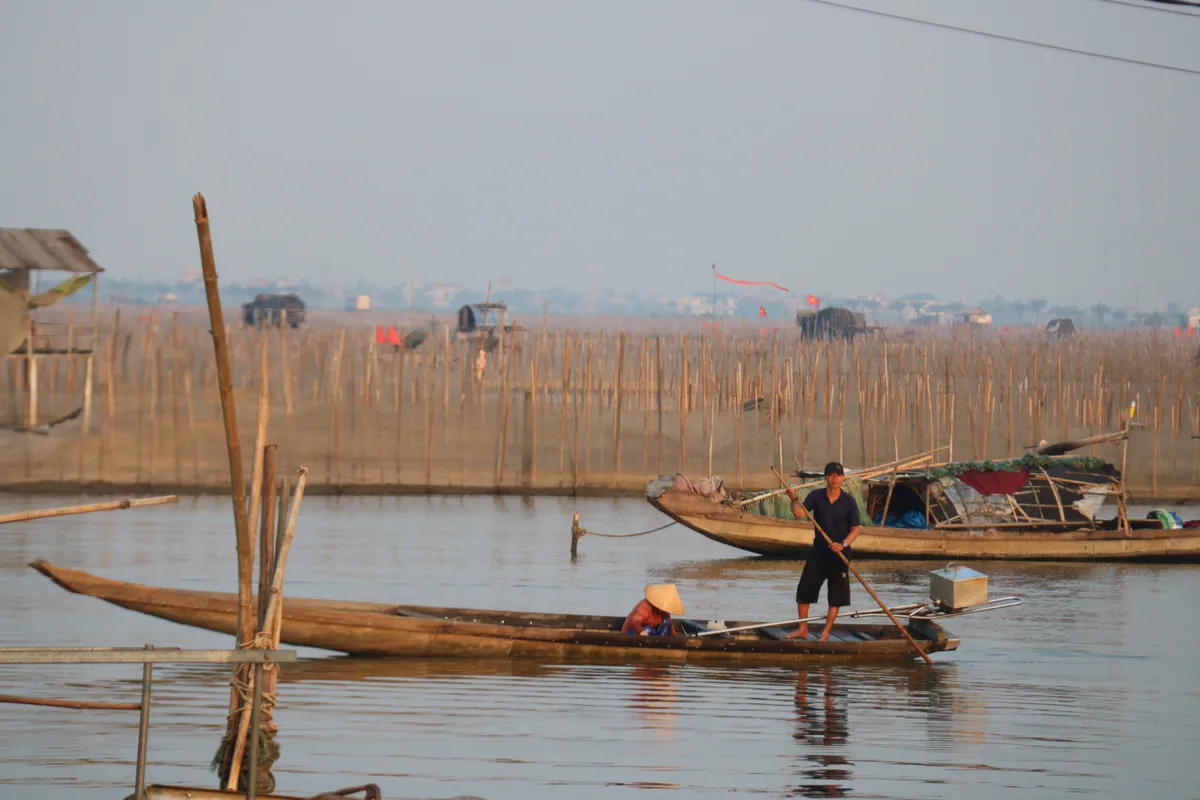 B&igrave;nh minh tr&ecirc;n ph&aacute; Tam Giang: Nhịp sống thức dậy từ l&agrave;n sương sớm - Ảnh 1.