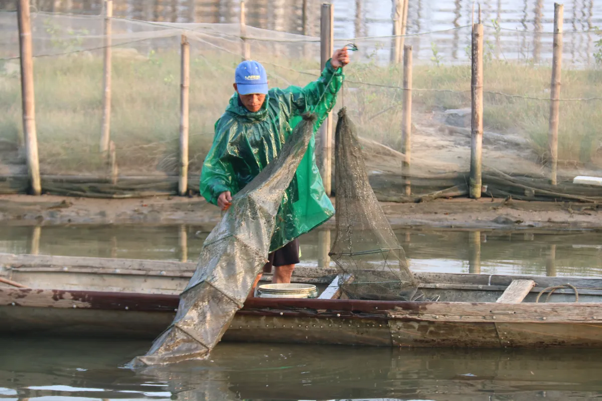 B&igrave;nh minh tr&ecirc;n ph&aacute; Tam Giang: Nhịp sống thức dậy từ l&agrave;n sương sớm - Ảnh 2.