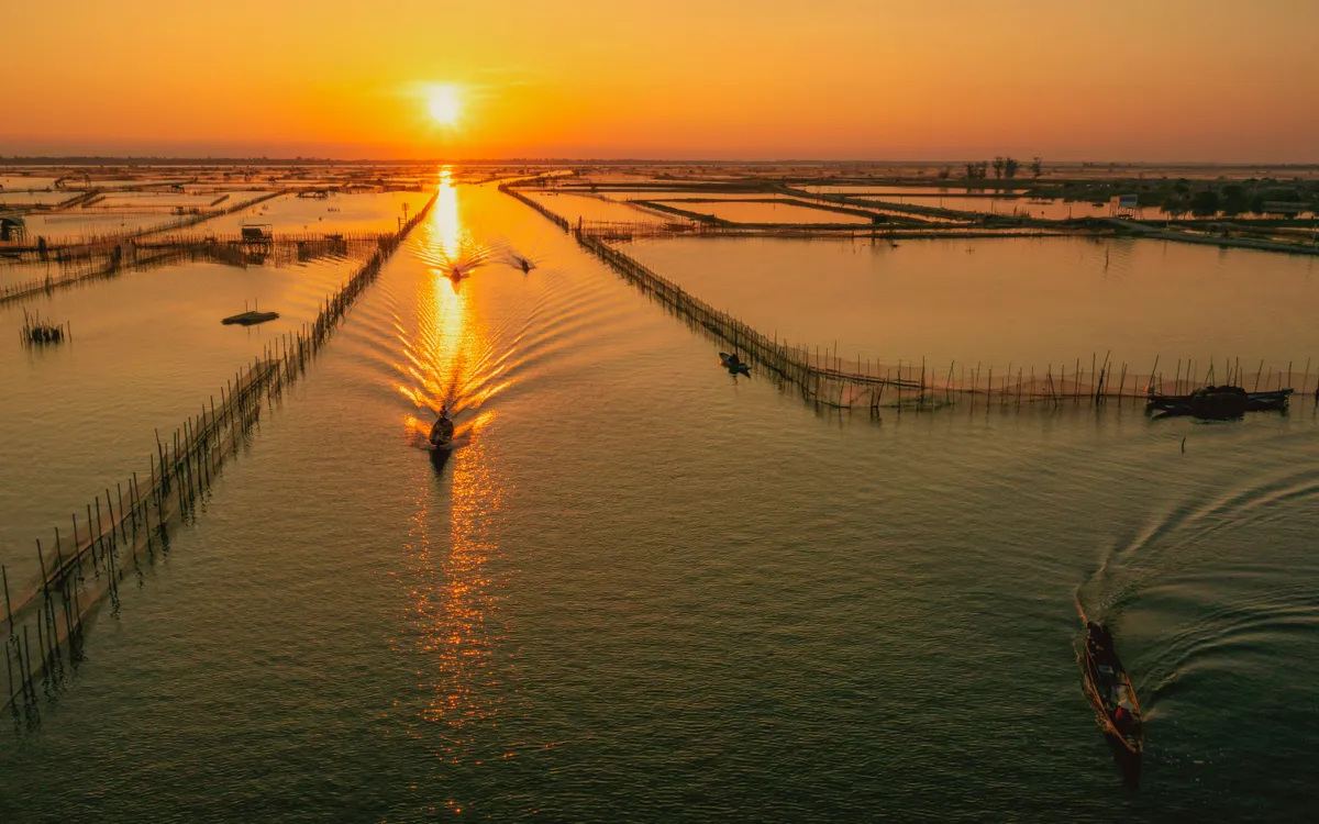 Không ồn ào, không rực rỡ như biển, bình minh ở Phá Tam giang mang vẻ đẹp trầm lặng.