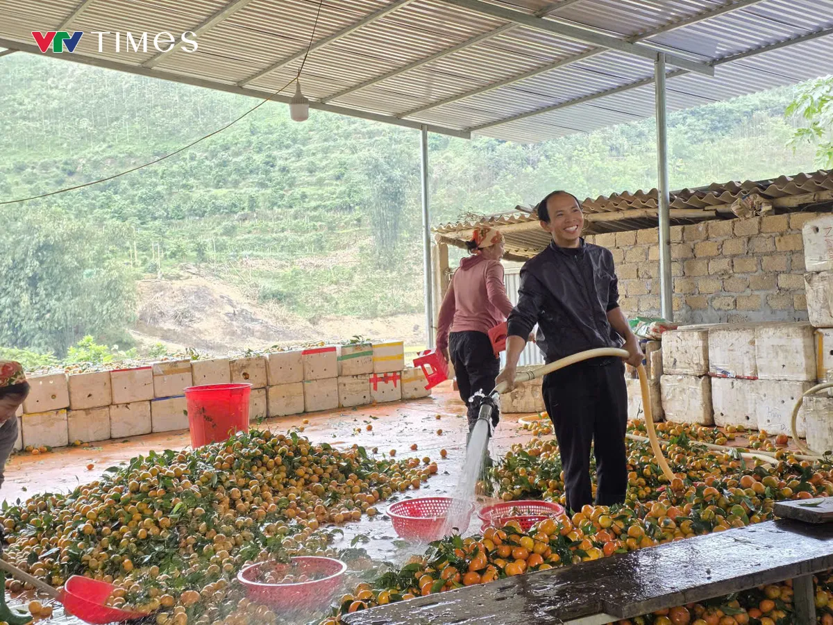 X&atilde; v&ugrave;ng cao Thu C&uacute;c (Ph&uacute; Thọ): Ph&aacute;t triển kinh tế đồi rừng &ndash; hướng đi bền vững gi&uacute;p người d&acirc;n x&oacute;a đ&oacute;i giảm ngh&egrave;o - Ảnh 2.