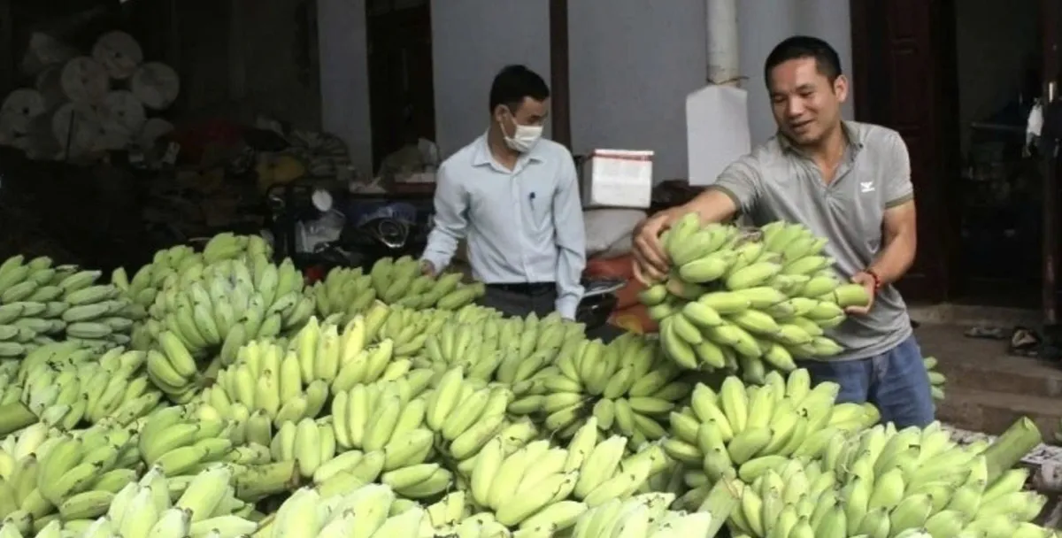 Sơn La phấn đấu giá trị hàng hóa xuất khẩu đạt 240 triệu USD trong năm 2026- Ảnh 1. Sơn La phấn đấu giá trị hàng hóa xuất khẩu đạt 240 triệu USD trong năm 2026- Ảnh 1.