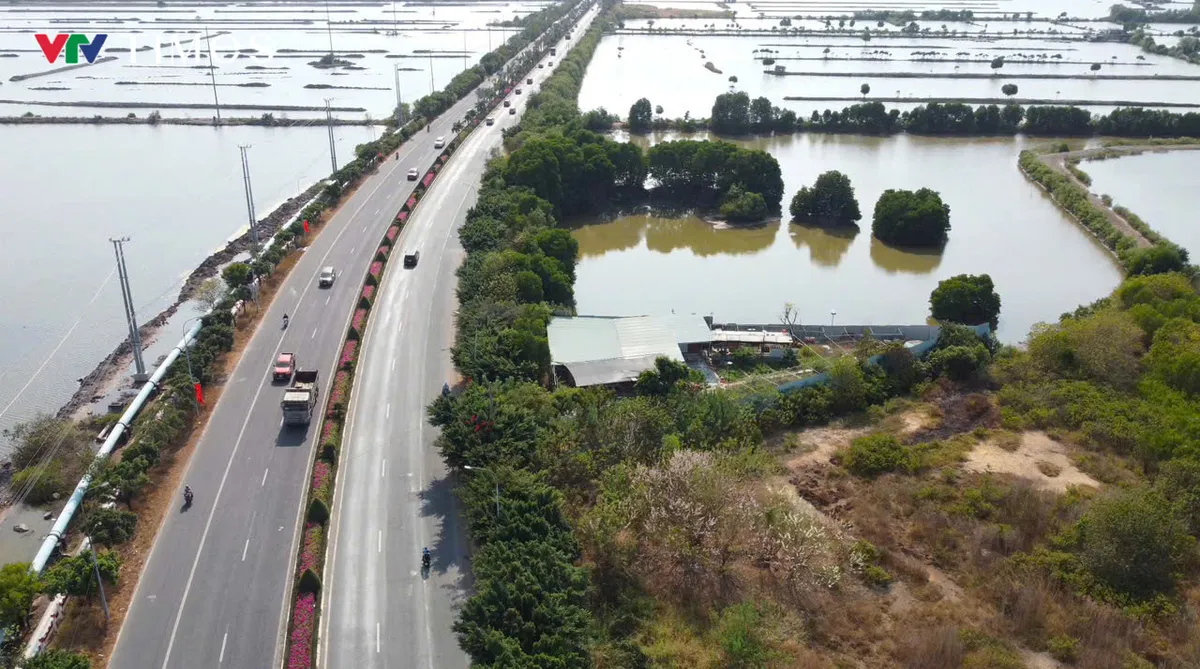 TP Hồ Chí Minh: Xử lý 2 công trình xây dựng trái phép do Thời báo VTV cung cấp thông tin - Ảnh 2.