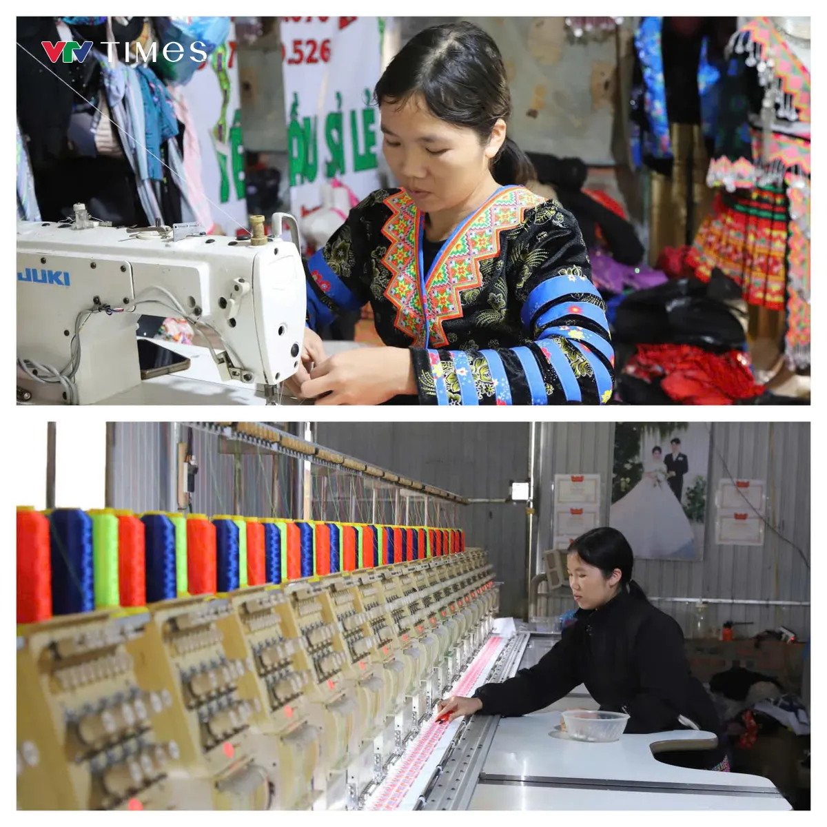 X&atilde; v&ugrave;ng cao Thu C&uacute;c (Ph&uacute; Thọ): Ph&aacute;t triển kinh tế đồi rừng &ndash; hướng đi bền vững gi&uacute;p người d&acirc;n x&oacute;a đ&oacute;i giảm ngh&egrave;o - Ảnh 3.