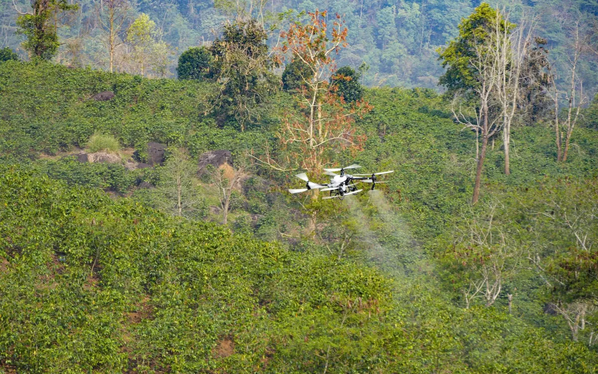 UAV do FPT và Trường Thịnh Drone đang thử nghiệm phun thuốc cho cây cà phê khu vực hồ Ảng Cang, bản Mánh Đanh, xã Mường Ảng, tỉnh Điện Biên.